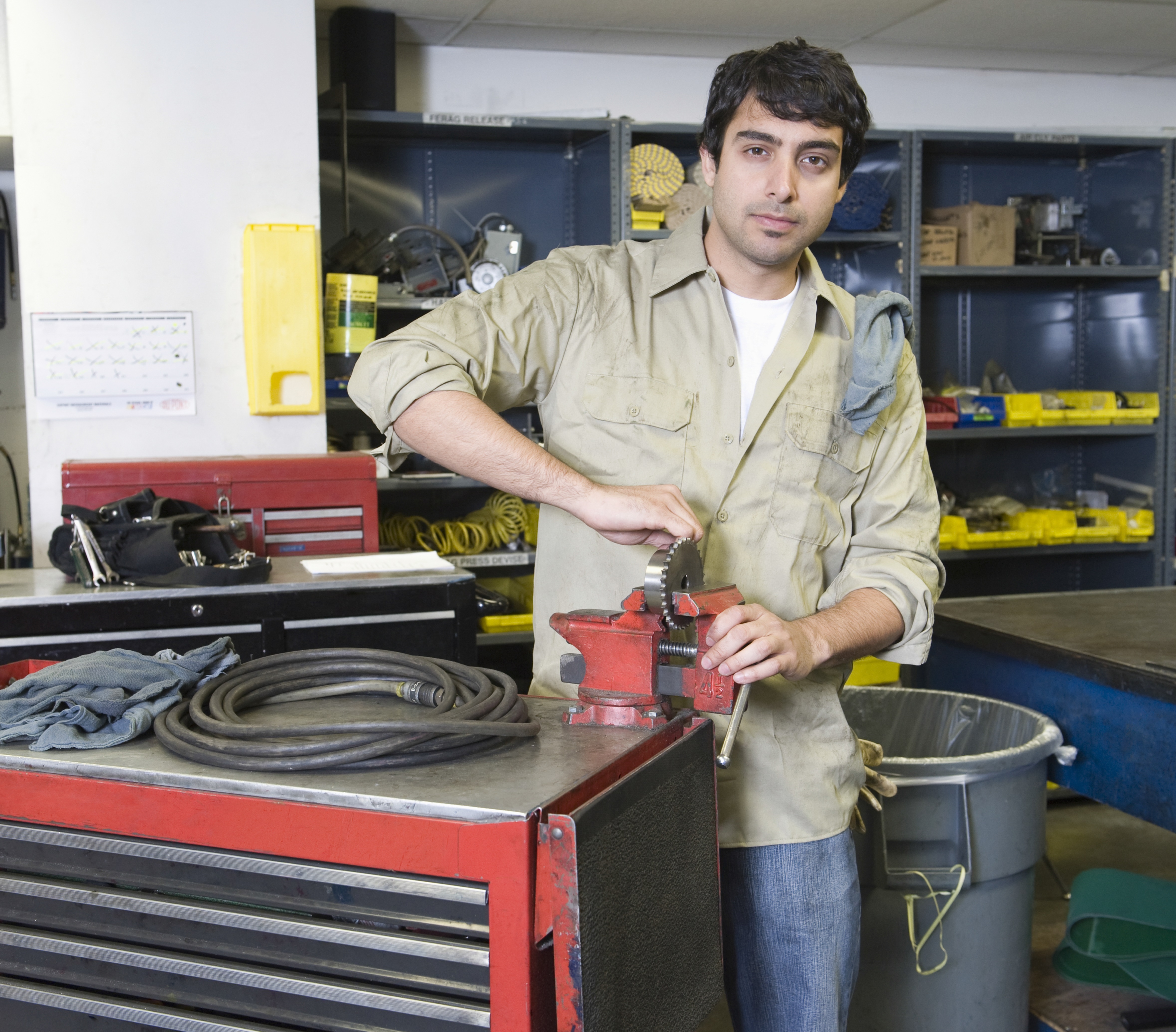 ALICE Hispanic Mechanic